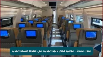 جدول محدث.. مواعيد قطار تالجو الجديدة على خطوط السكة الحديد